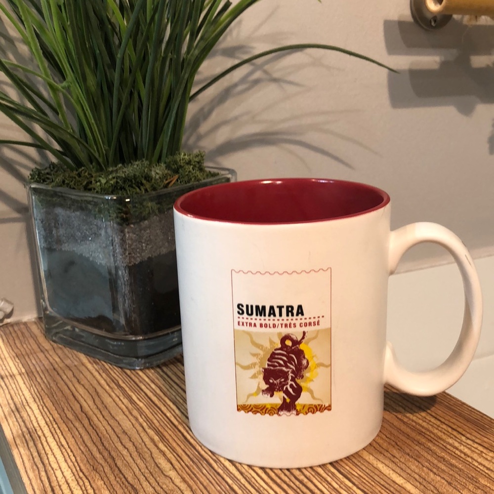 2010 STARBUCKS Sumatra Extra Bold Mug 460 ml 15.5 oz
